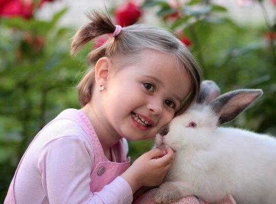 Friendly Rabbits Available for Adoption Perfect Pets for Families and Individuals