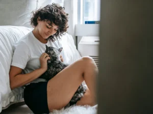 Loyal Labrador Retriever Puppies for Sale Ideal Family Pets