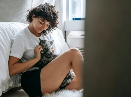 Loyal Labrador Retriever Puppies for Sale Ideal Family Pets