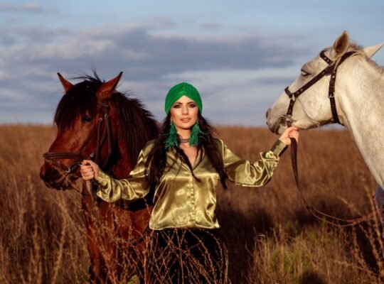 Arabian Horses for Sale Perfect for Riding and Showing Majestic and Elegant