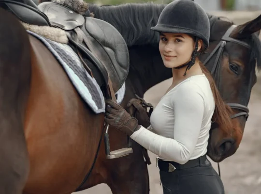 Arabian Horses for Sale Perfect for Riding and Showing Majestic and Elegant