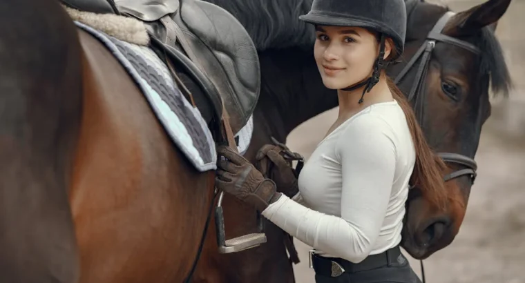 Arabian Horses for Sale Perfect for Riding and Showing Majestic and Elegant