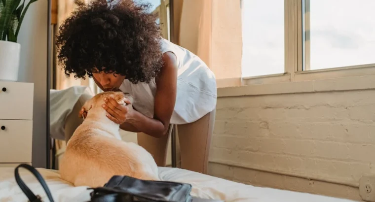 Cute Hamsters for Sale Ideal Pets for Kids and Adults Alike