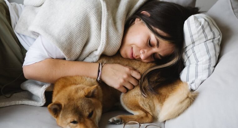 Lovable Retriever Puppies for Sale Perfect Family Companions with Playful and Loyal Nature